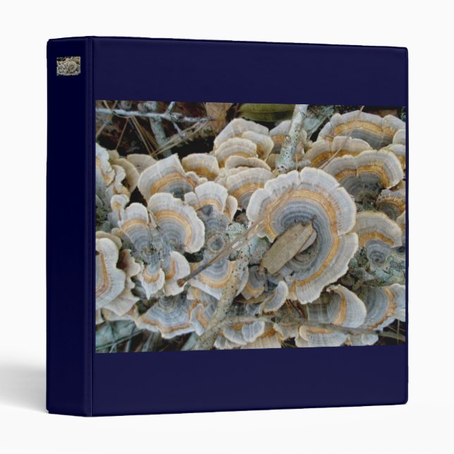 NC Nature Trail Blue Shelf Fungus Binder (Front/Spine)