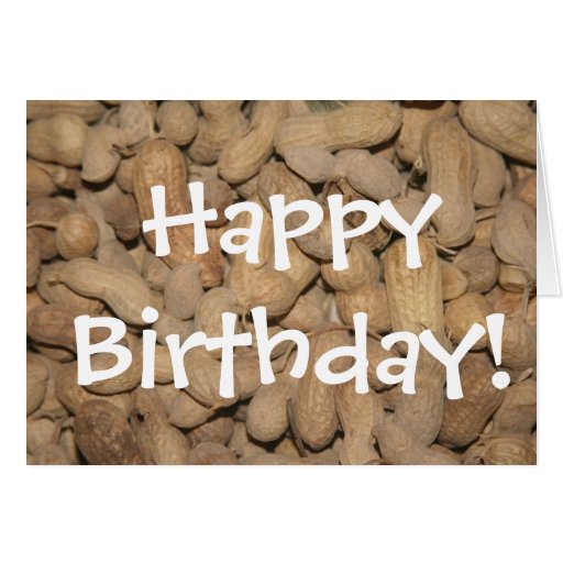 nc_peanuts_happy_birthday_greeting_card-