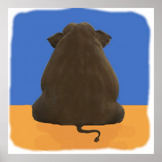 NCIS elephant in the room Kids  Poster