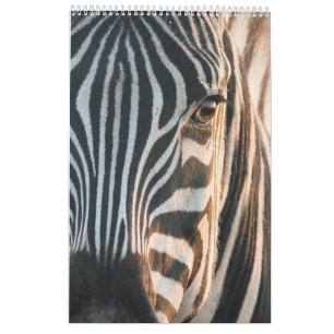 ncounters in Africa's Wild Kingdom, 2024 Calendar, Calendar