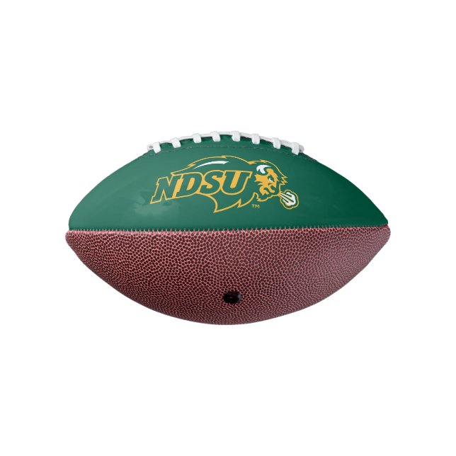 NDSU Bison Football (Rotated 270)