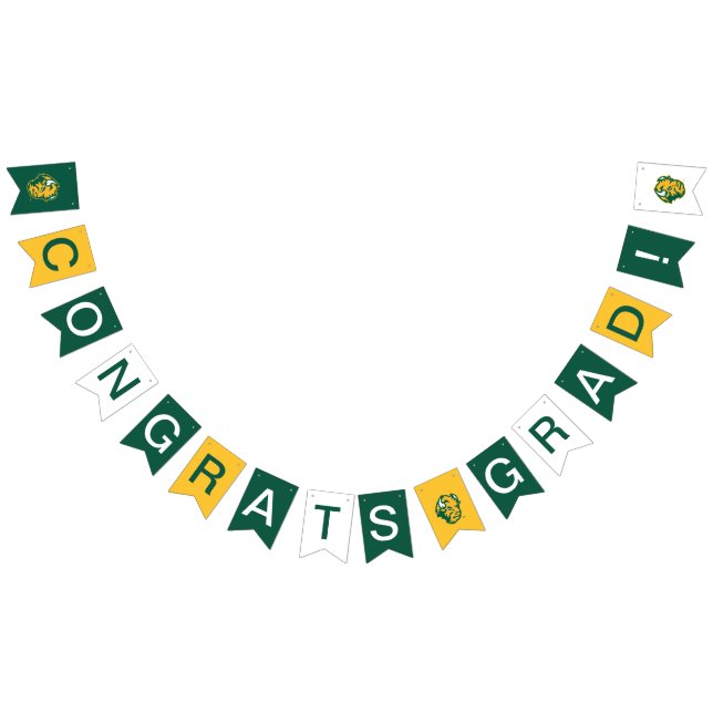 NDSU Bison Graduation Bunting Flags (All)