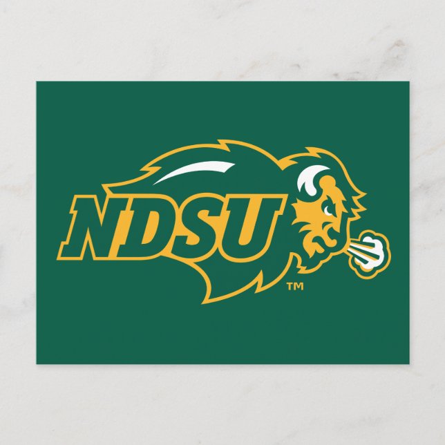 NDSU Bison Postcard (Front)