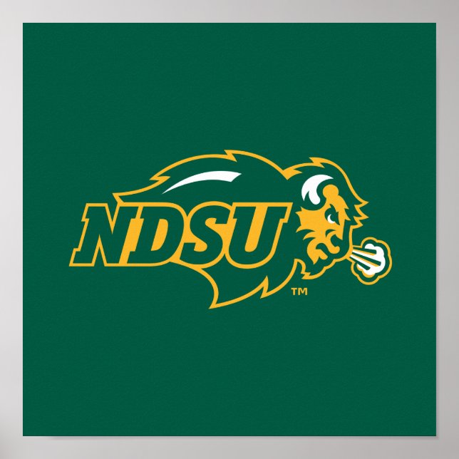 NDSU Bison Poster (Front)