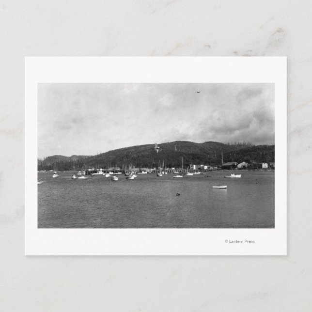 Neah Bay, WA View with Fishing Boats Photograph Postcard (Front)
