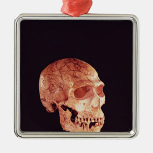 Neanderthal Skull, discovered on Mt Carmel Metal Ornament