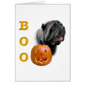 Neapolitan Mastiff Boo (Front)