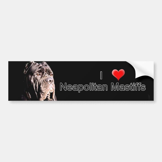 Neapolitan mastiff bumper sticker (Front)