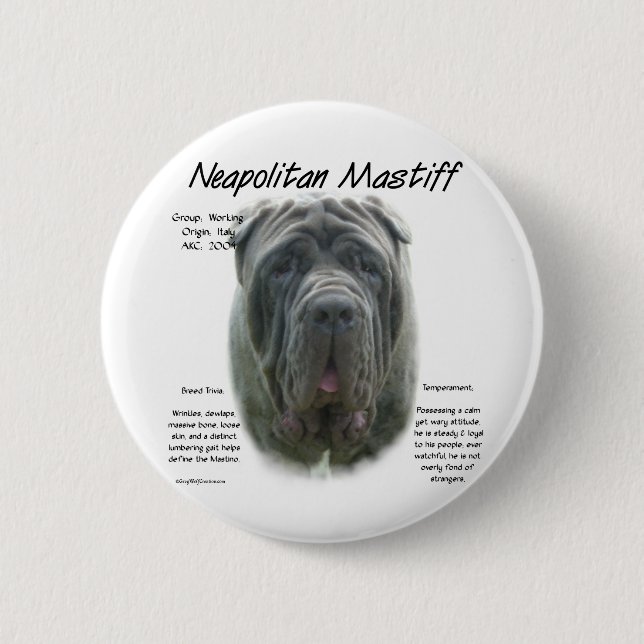Neapolitan Mastiff (grey) History Design Pinback Button (Front)