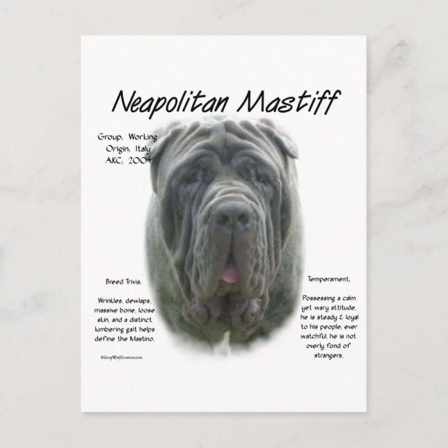 Neapolitan Mastiff (grey) History Design Postcard (Front)