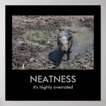 Neatness: It's Highly Overrated Poster by bluerabbit at Zazzle