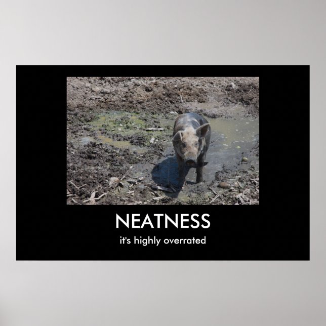 NEATNESS POSTER (Front)