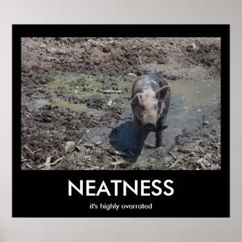 Neatness Poster by bluerabbit at Zazzle