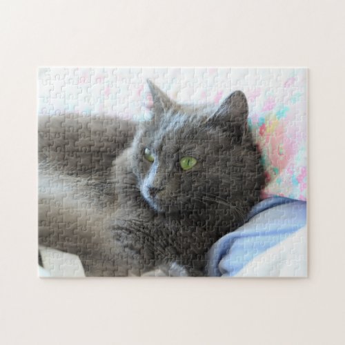 Nebelung cat jigsaw puzzle