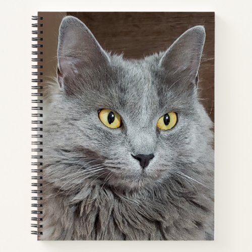 Nebelung Long_Haired Russian Blue Cat Notebook