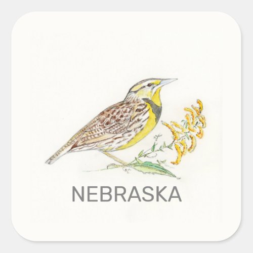 Nebraska bird and flower square sticker