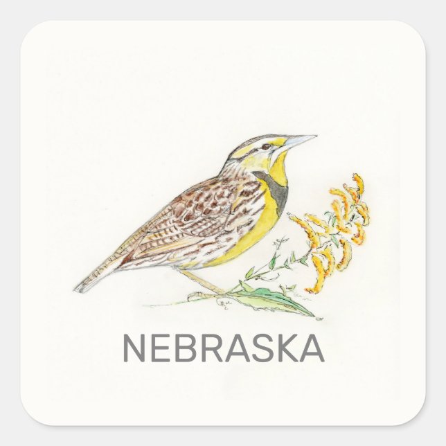 Nebraska bird and flower square sticker (Front)
