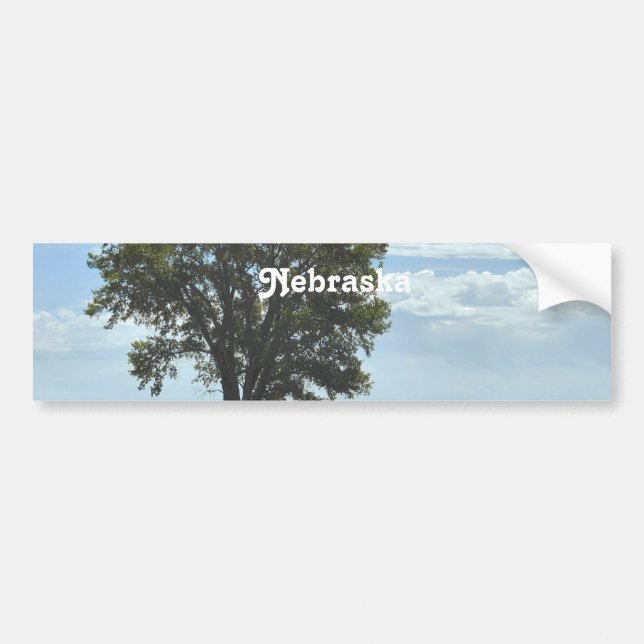 Nebraska Bumper Sticker (Front)