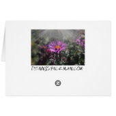 Nebraska City October 2015 (Back Horizontal)