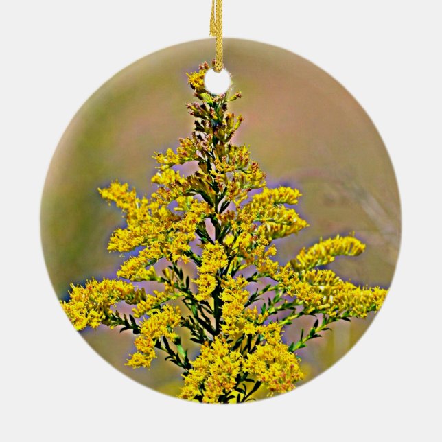Nebraska Goldenrod Ceramic Ornament (Back)