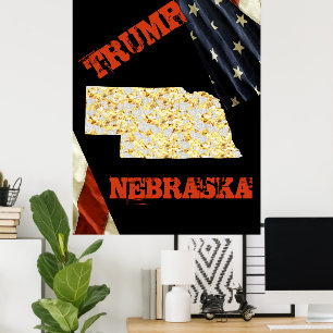 NEBRASKA  POSTER