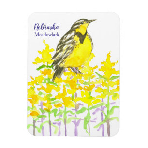 Nebraska Souvenir Meadowlark Goldenrod Wildflower Magnet
