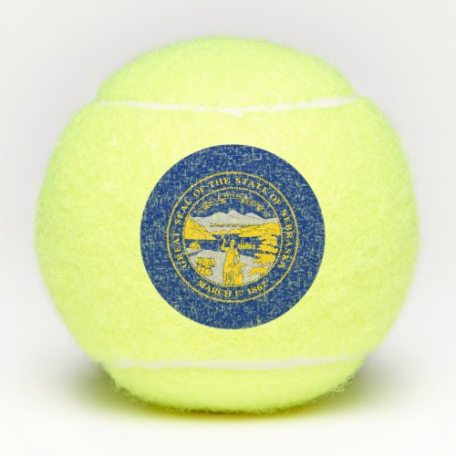 Nebraska State Flag Tennis Balls