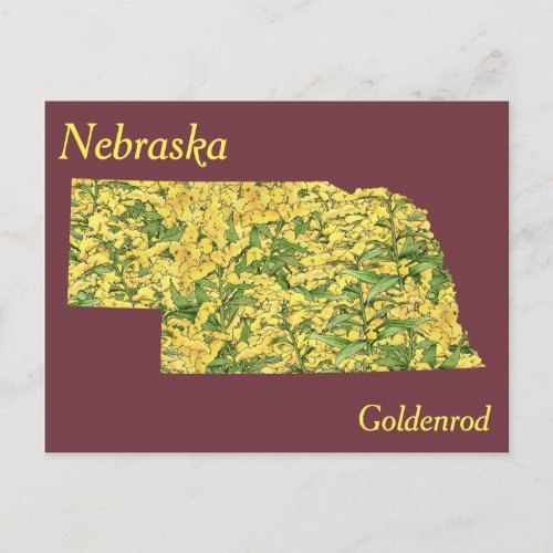 Nebraska State Flower Collage Map Postcard