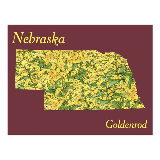 Nebraska State Flower Collage Map Postcard | Zazzle.com