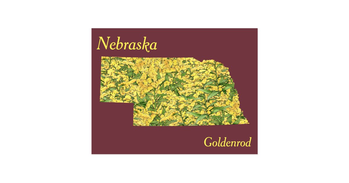 Nebraska State Flower Collage Map Postcard | Zazzle.com