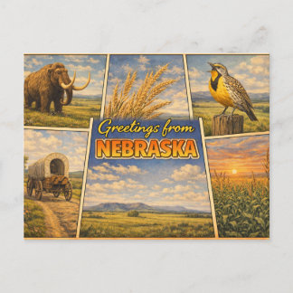 Nebraska State Postcard