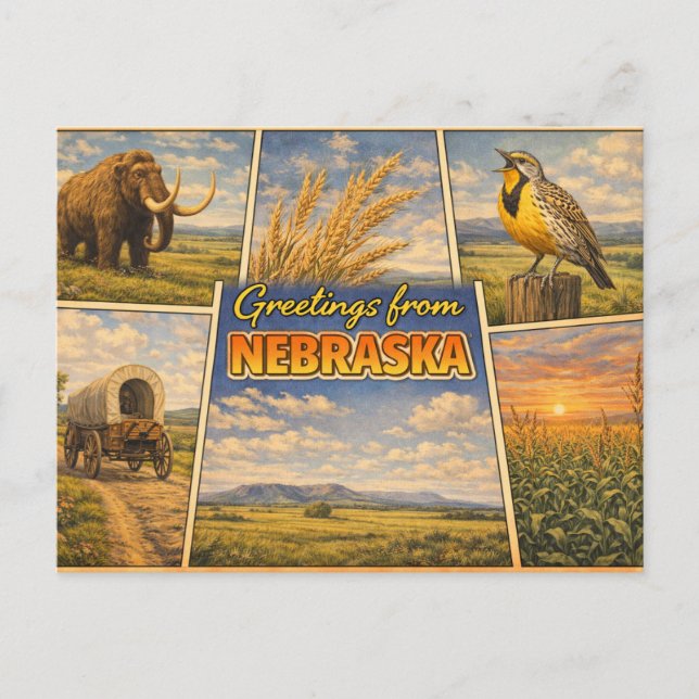 Nebraska State Postcard (Front)