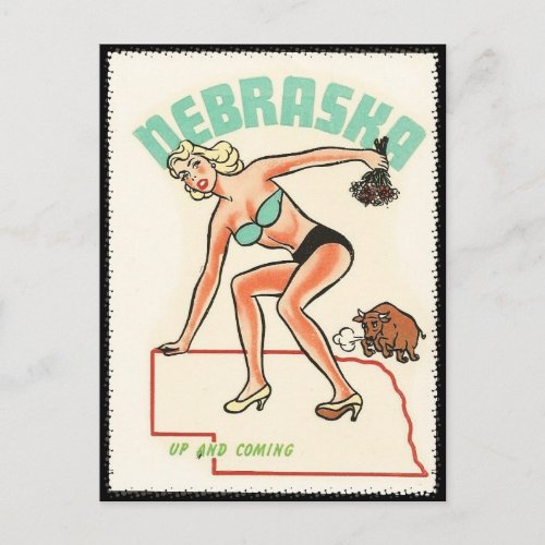 Nebraska   vintage travel postcard