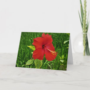 "Nebraskan Hibiscus" Easter Card