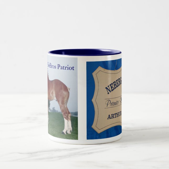 NeBros Patriot & Sign Mug (Center)