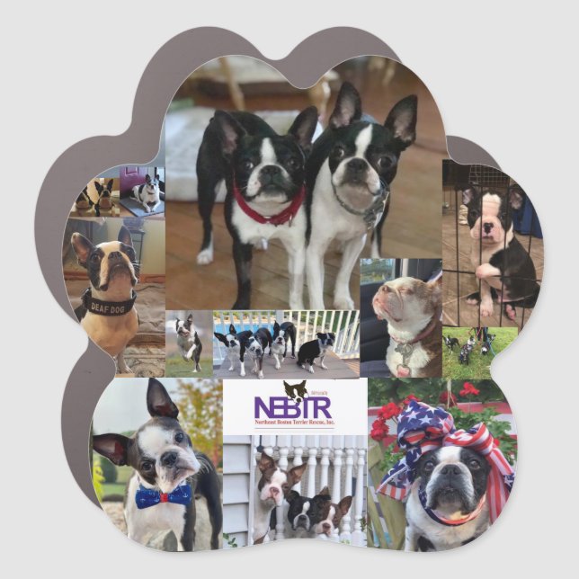 NEBTR Car Magnet (Front)