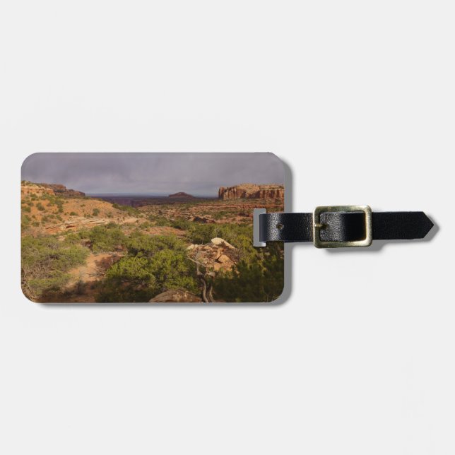 Neck Springs Trail at Canyonlands National Park Luggage Tag (Front Horizontal)
