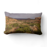 Neck Springs Trail at Canyonlands National Park Lumbar Pillow
