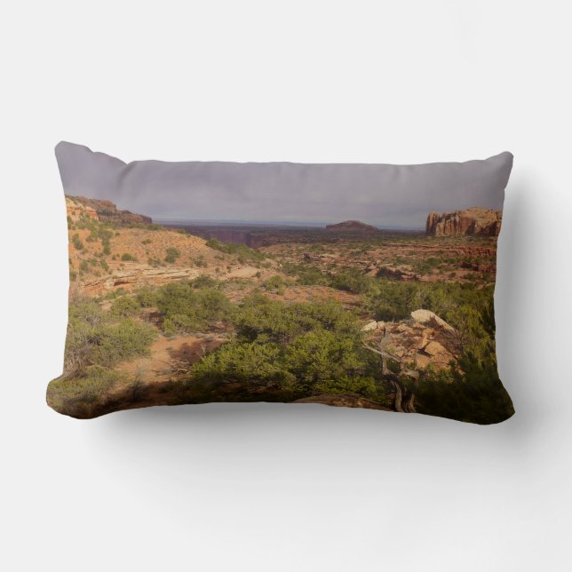 Neck Springs Trail at Canyonlands National Park Lumbar Pillow (Front)
