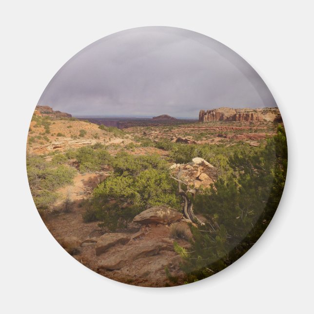 Neck Springs Trail at Canyonlands National Park Magnet (Front)