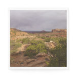 Neck Springs Trail at Canyonlands National Park Napkins