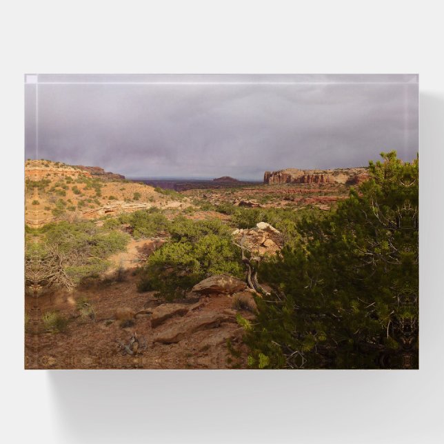 Neck Springs Trail at Canyonlands National Park Paperweight (Front)