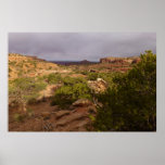 Neck Springs Trail at Canyonlands National Park Poster