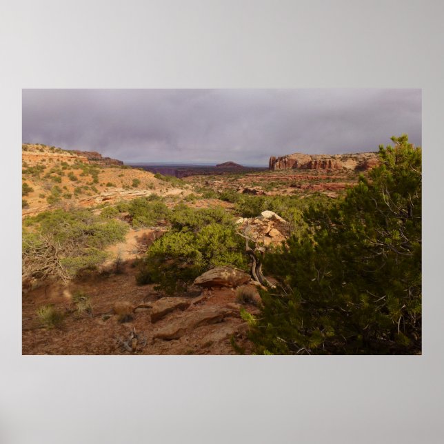 Neck Springs Trail at Canyonlands National Park Poster (Front)