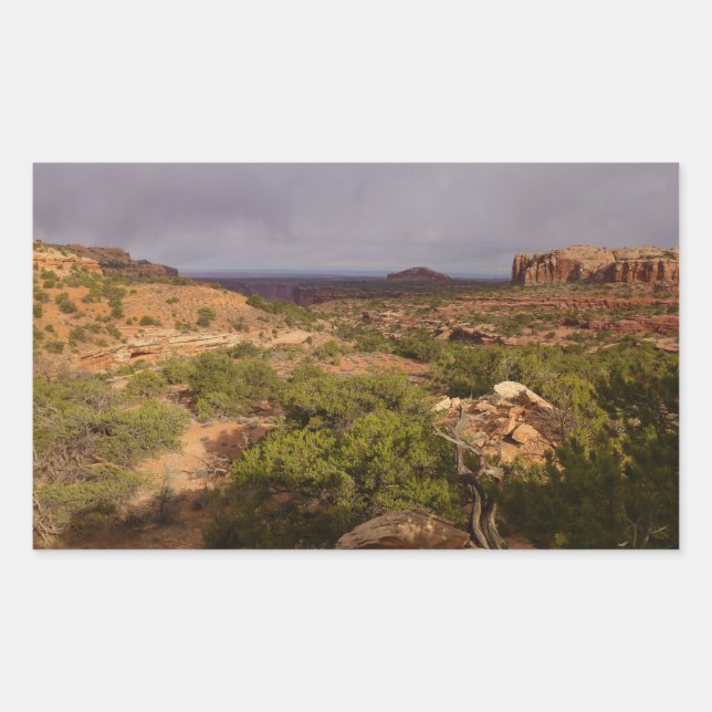 Neck Springs Trail at Canyonlands National Park Rectangular Sticker (Front)
