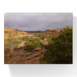 Neck Springs Trail Paperweight