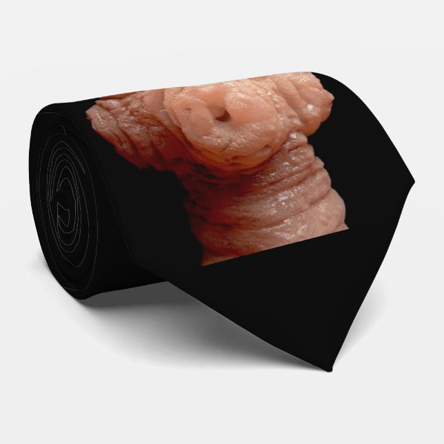 Neck Tie -Spirometra erinaceieuropaei tapeworm (Rolled)