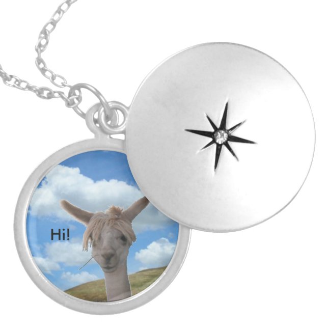 Necklace - Alpaca (Front)