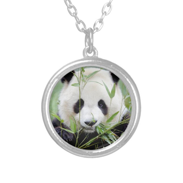 Necklace Photo giant panda , animals 0271. (Front)