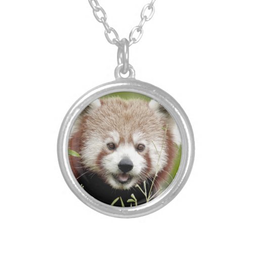 Necklace Photo red panda  animals 0407